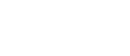 Democracy Fund logo